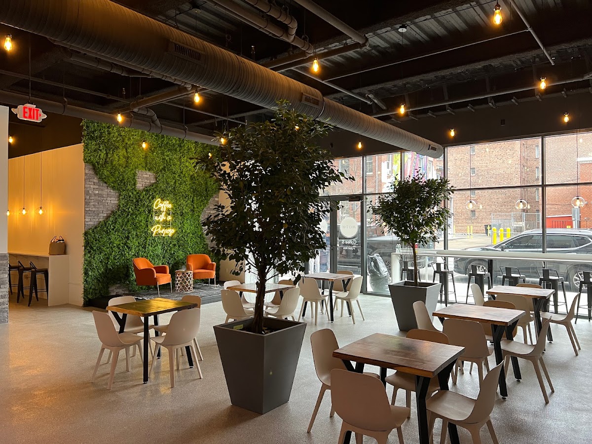 Motw Coffee And Pastries New Haven